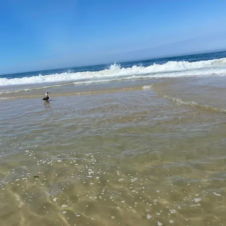 Bleu Ocean Praia de Mira