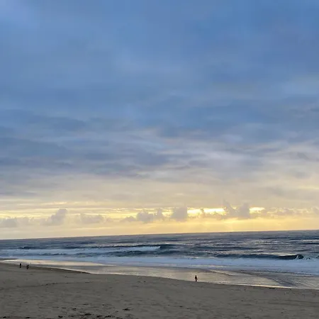 Apartman Bleu Ocean *