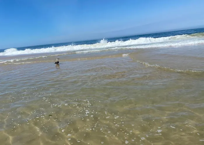 Bleu Océan Praia de Mira
